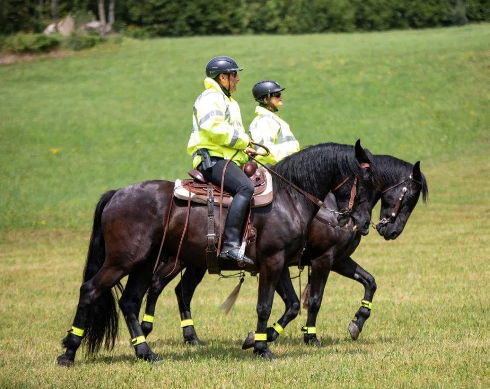 Berittene Security im Gelände