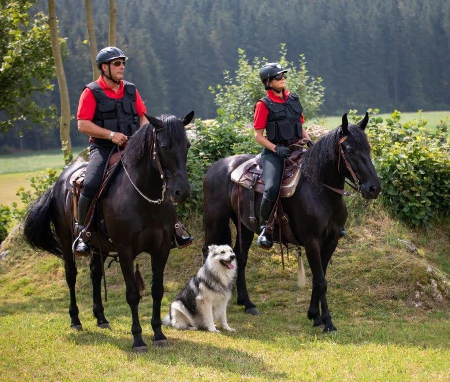 Berittene Security – Patrouille